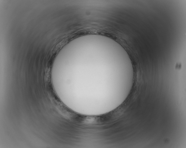 X0000115530177200911061135