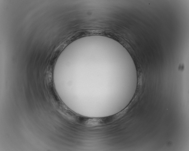 X0000115530179200911061135