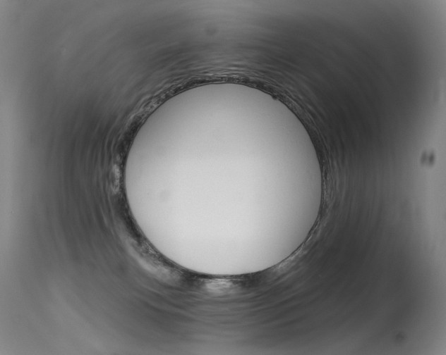 X0000115530183200911061135