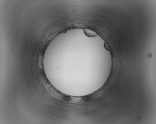 X0000115530185200911061135