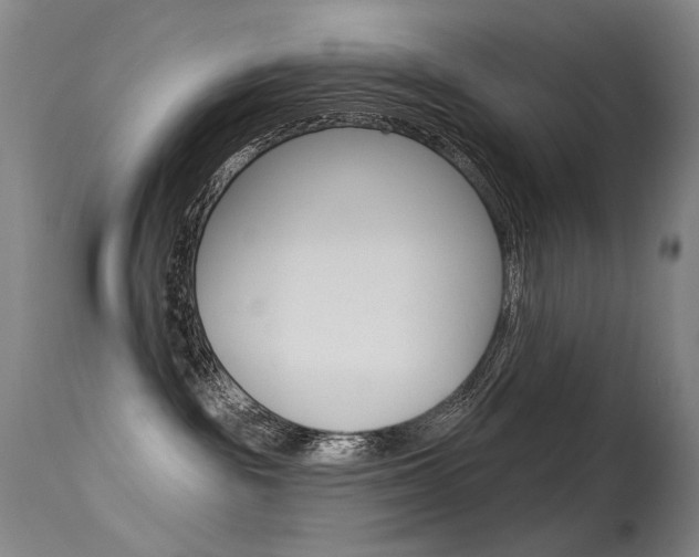 X0000115530189200911061135