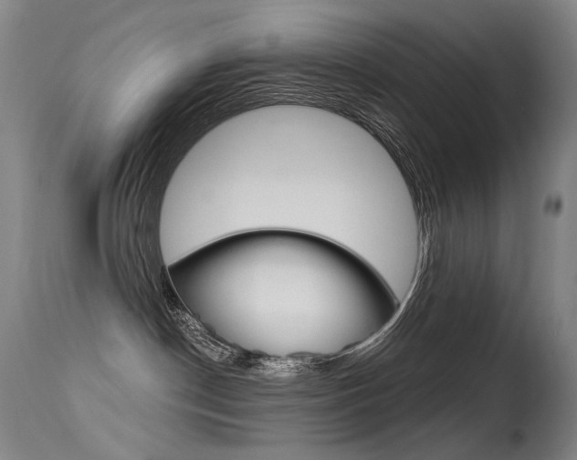 X0000115530190200911061135