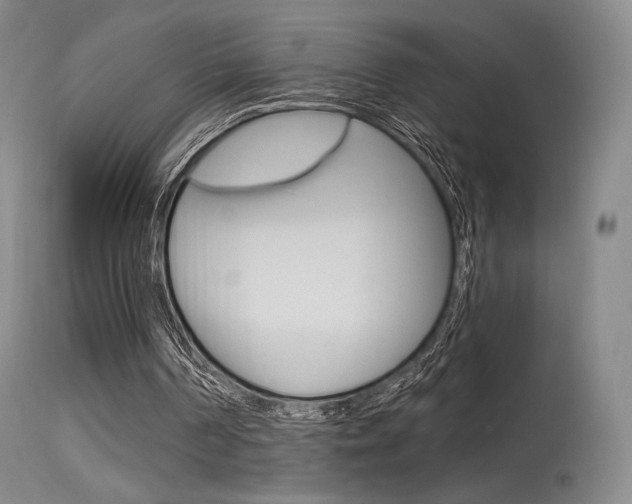 X0000115530194200911061135