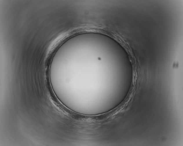 X0000115530197200911061135