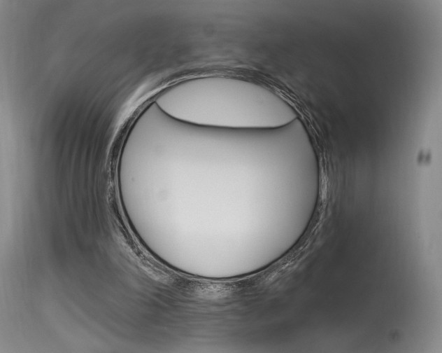 X0000115530198200911061135