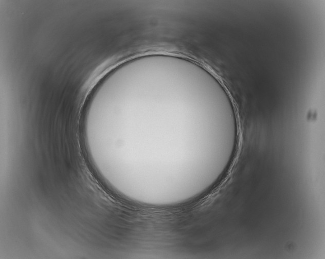 X0000115530199200911061135