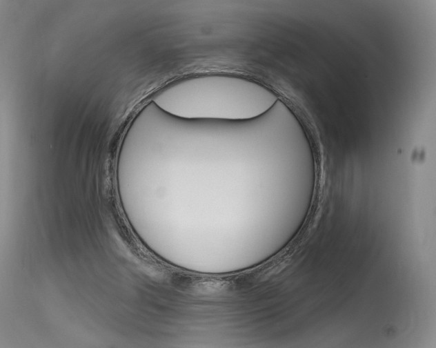 X0000115530202200911061135