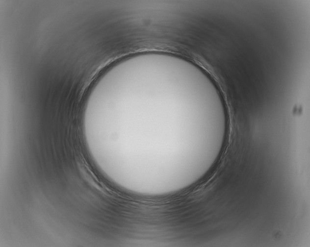 X0000115530203200911061135