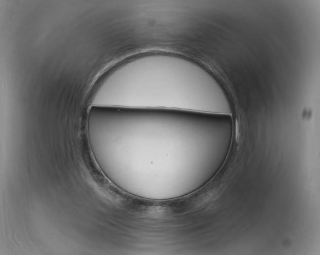 X0000115530204200911061135