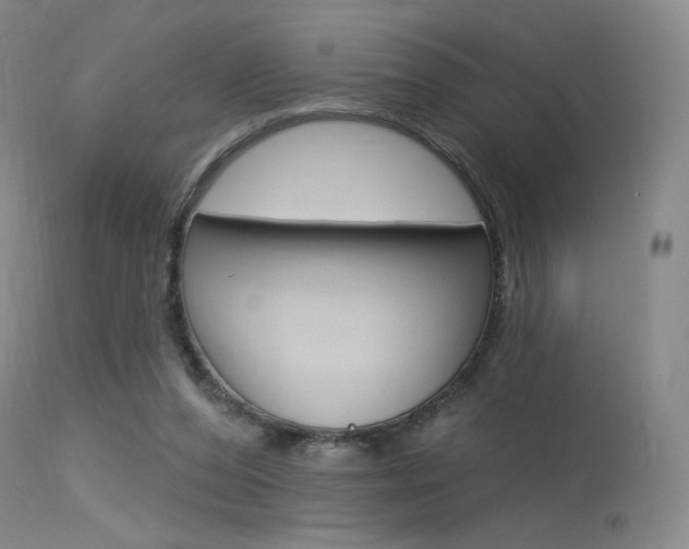 X0000115530208200911061134