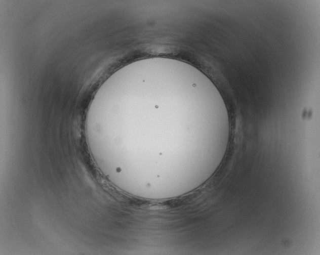 X0000115530210200911061134