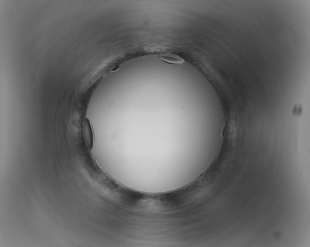 X0000115530211200911061134