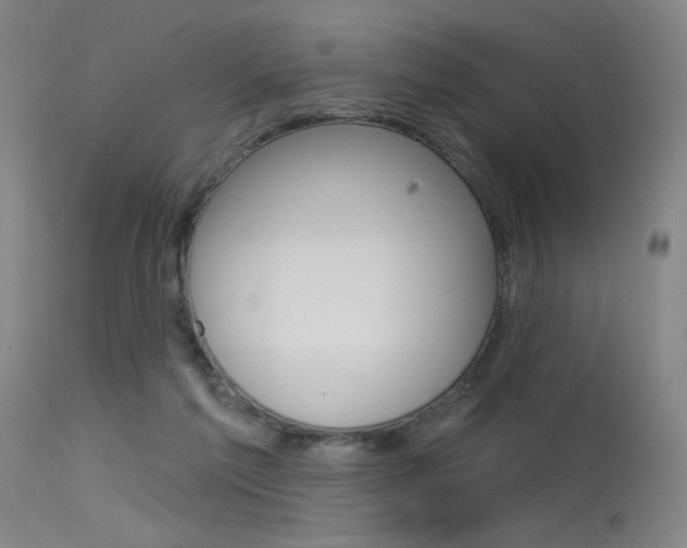 X0000115530213200911061134