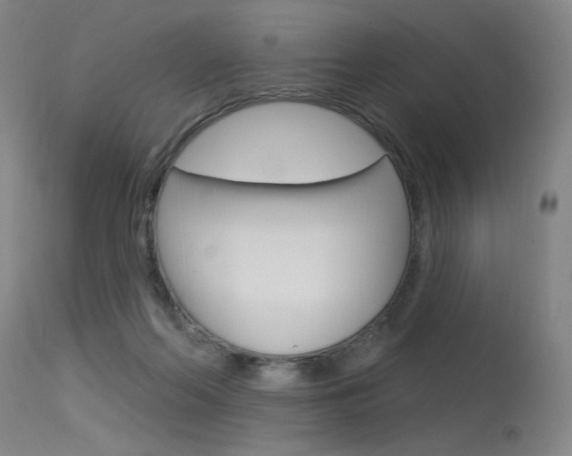 X0000115530214200911061134