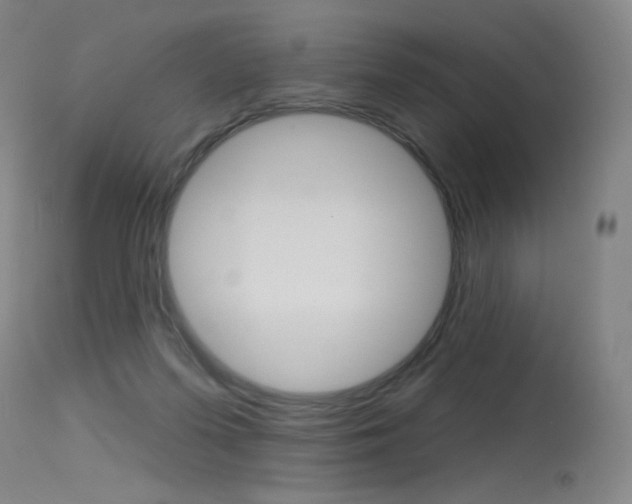 X0000115530215200911061134