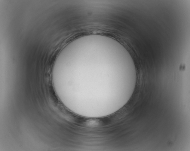 X0000115530218200911061134