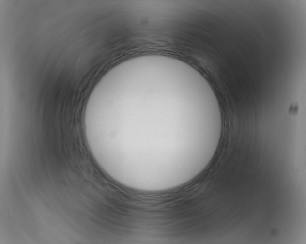 X0000115530221200911061134