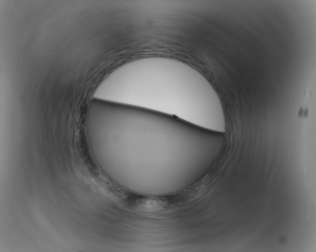 X0000115530223200911061134