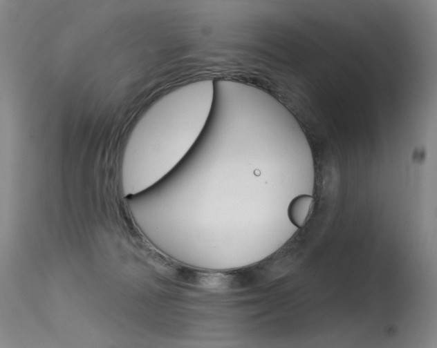 X0000115530226200911061134