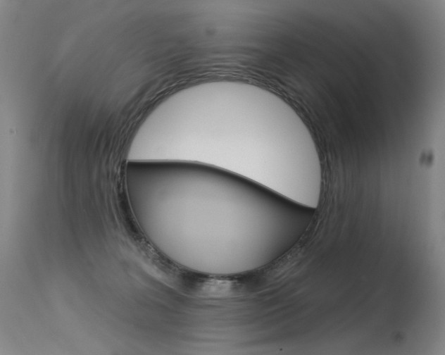 X0000115530227200911061134