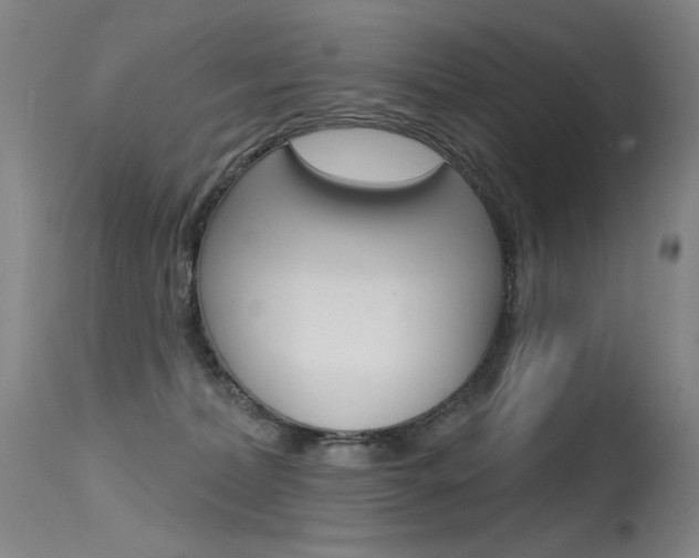 X0000115530228200911061134