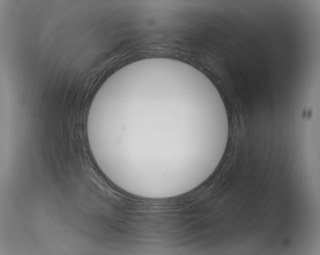 X0000115530233200911061134