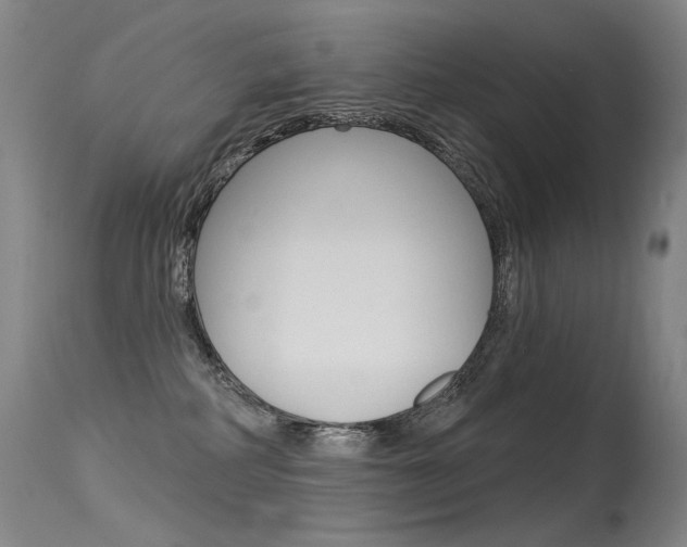 X0000115530234200911061134