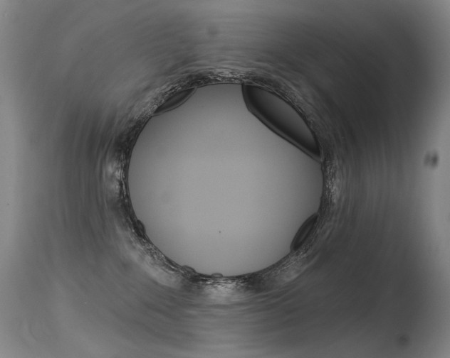 X0000115530235200911061134
