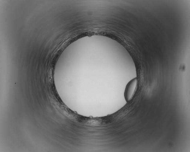 X0000115530236200911061134
