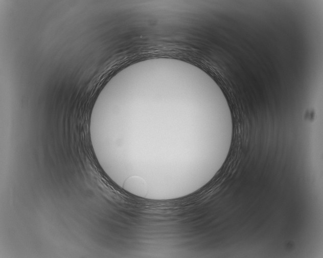 X0000115530237200911061134
