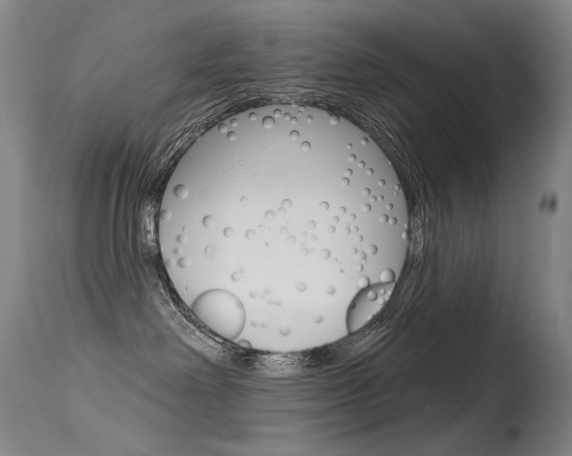 X0000115530238200911061134