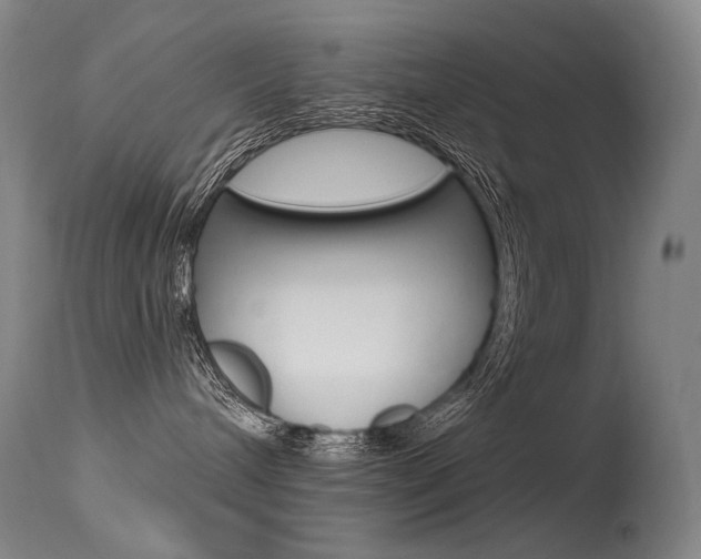 X0000115530240200911061134
