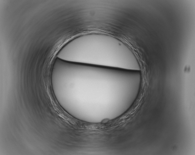 X0000115530241200911061133