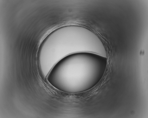 X0000115530244200911061133