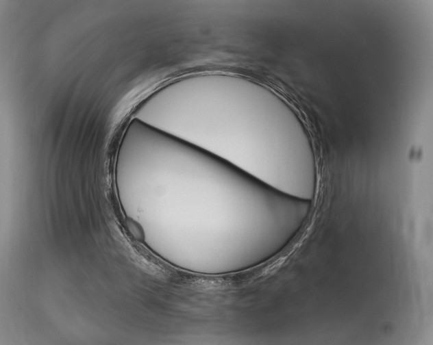 X0000115530245200911061133