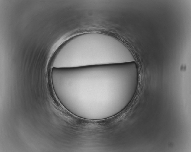 X0000115530246200911061133