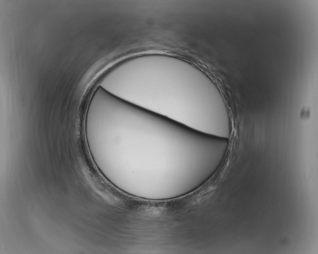 X0000115530247200911061133