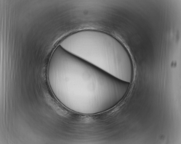 X0000115530249200911061133