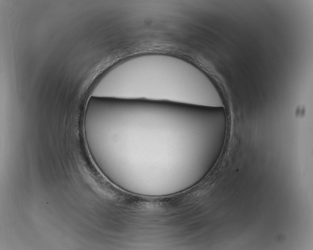 X0000115530250200911061133
