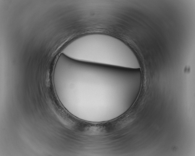 X0000115530251200911061133