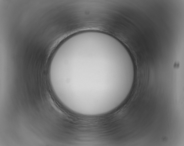 X0000115530252200911061133