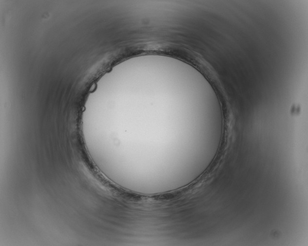 X0000115530257200911061134