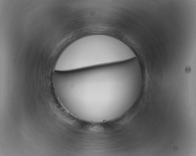 X0000115530258200911061134