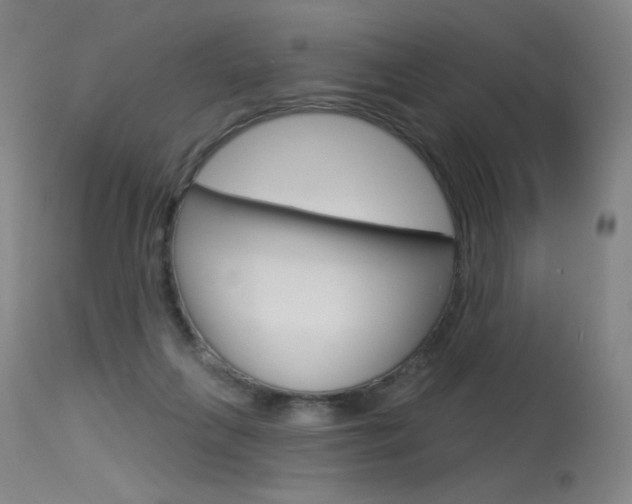 X0000115530263200911061134