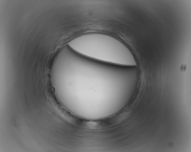 X0000115530265200911061134