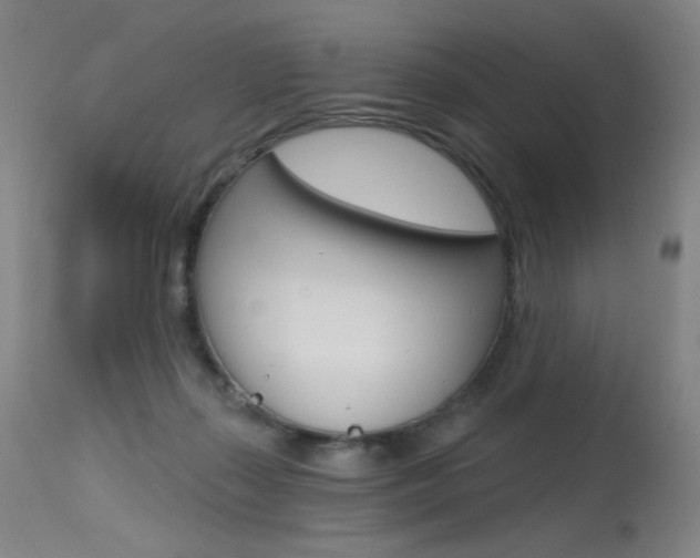 X0000115530267200911061134