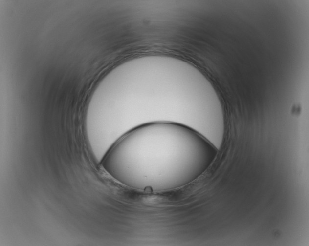 X0000115530268200911061134