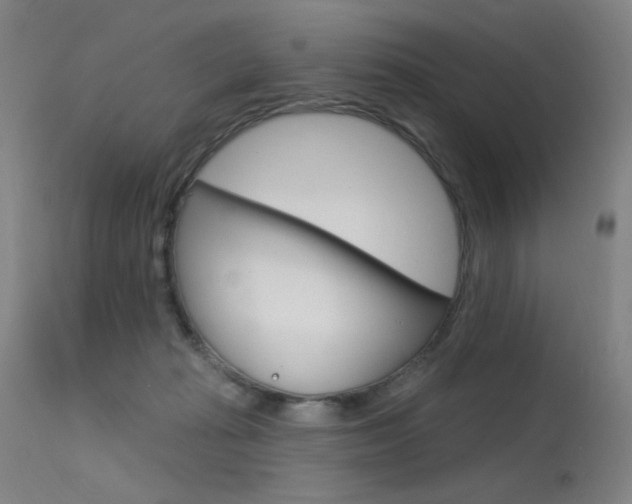 X0000115530269200911061134