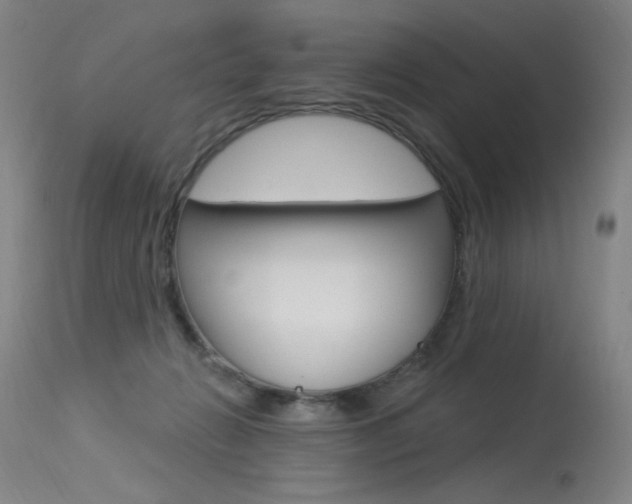 X0000115530270200911061134