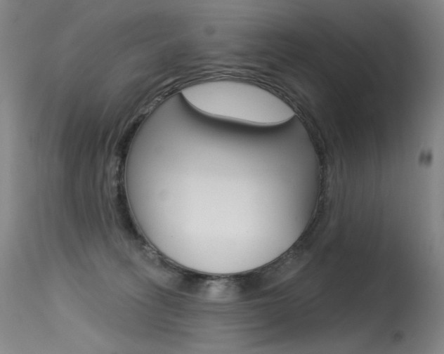 X0000115530275200911061134